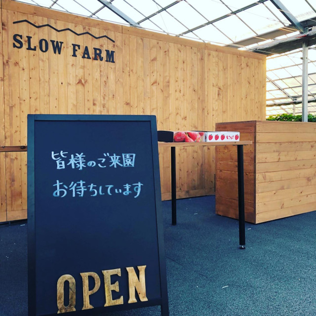 川崎市のイチゴ狩り Slow Farm